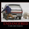 endangered