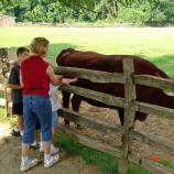 Mount Vernon