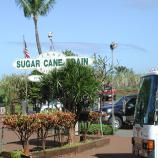 Sugar Cane Train