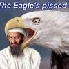 eagle_binLaden