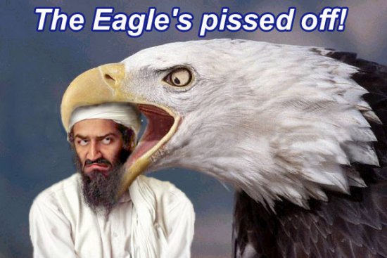 eagle_binLaden